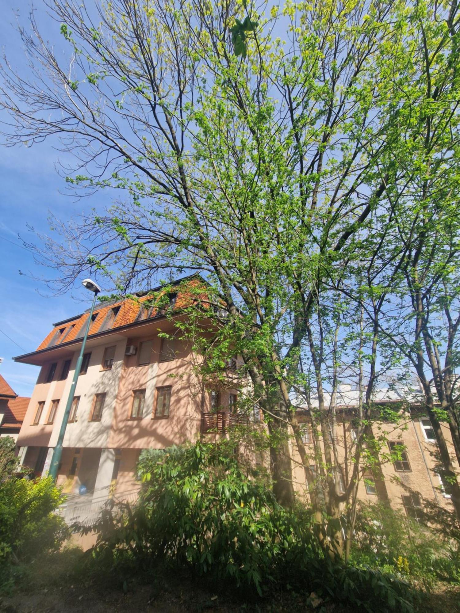 7 Brothers Apartment Sarajevo Exterior photo